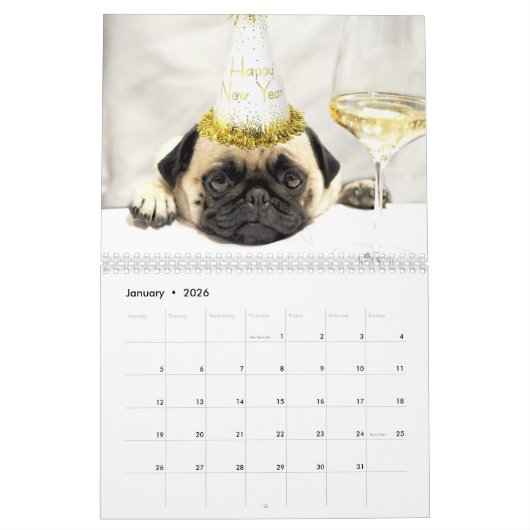 Rupert de wandkalender van Pug 2019 Kalender (Jan 2026)