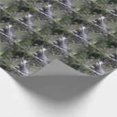 Rupicapra rupicapra cadeaupapier (Hoek)