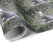 Rupicapra rupicapra cadeaupapier (Rol Hoek)