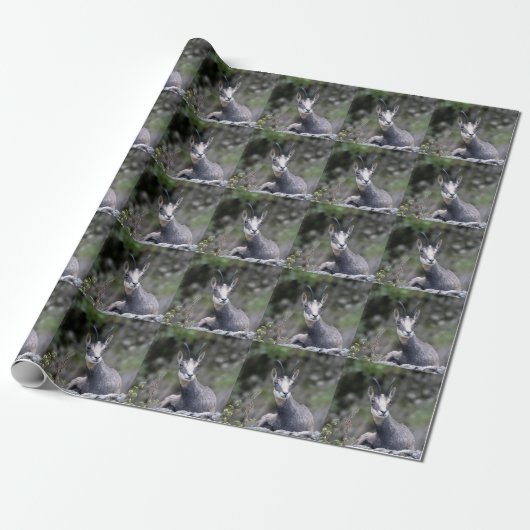 Rupicapra rupicapra cadeaupapier (Uitgerold)