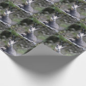 Rupicapra rupicapra cadeaupapier (Hoek)
