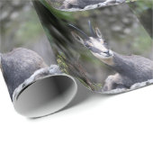 Rupicapra rupicapra cadeaupapier (Rol Hoek)