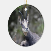 Rupicapra rupicapra keramisch ornament (Links)