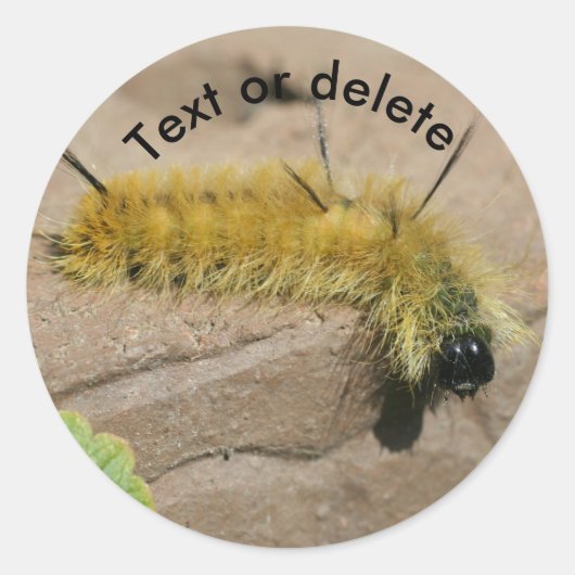 Rups van de Dagger Mot Gepersonaliseerd Ronde Sticker (Voorkant)