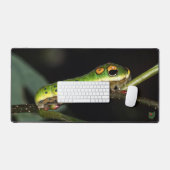 Rupsvlinder van de Spicebush Swallowtail Bureaumat (Keyboard & Muis)