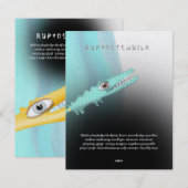Rupydetequila Kinder Illustratie 2015 (Voorkant / Achterkant)