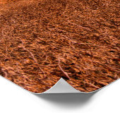 Rural America Barn Scene Poster (Hoek)