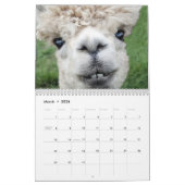 Rural America Farm Animals Kalender (Mar 2026)