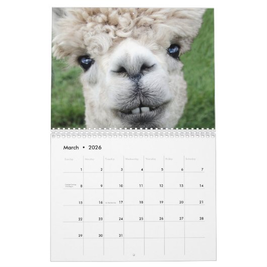 Rural America Farm Animals Kalender (Mar 2026)