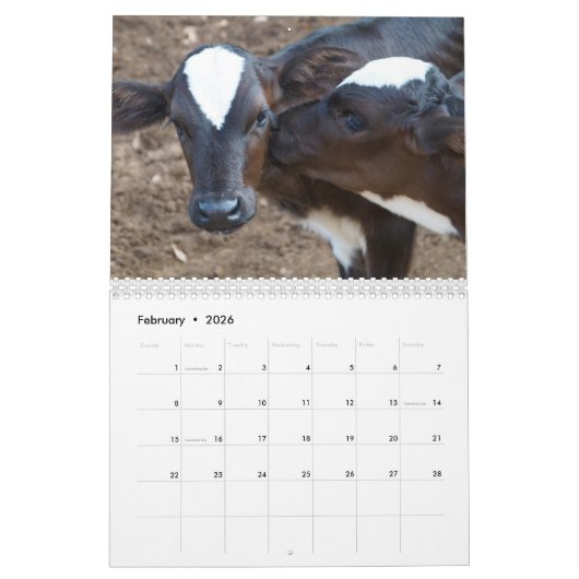 Rural America Farm Animals Kalender (Feb 2026)