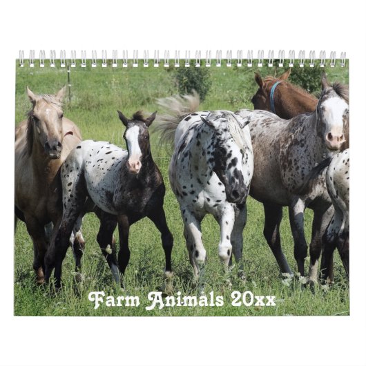 Rural America Farm Animals Kalender (Hoes)