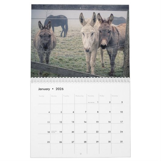 Rural America Farm Animals Kalender (Jan 2026)