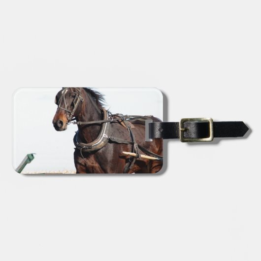 Rural Amish Horse and Buggy Bagagelabel (Voorkant horizontaal)