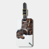Rural Amish Horse and Buggy Bagagelabel (Voorkant verticaal)