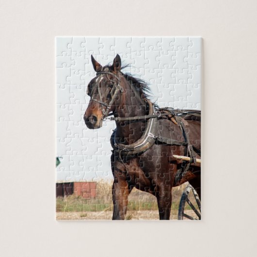 Rural Amish Horse and Buggy Legpuzzel (Verticaal)