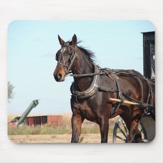 Rural Amish Horse and Buggy Muismat (Voorkant)