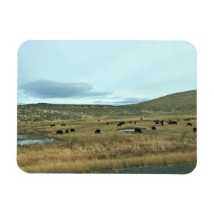 Rural Baker County, Oregon Magneet