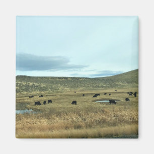 Rural Baker County, Oregon Magneet