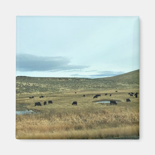 Rural Baker County, Oregon Magneet (Voorkant)
