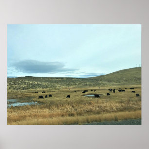 Rural Baker County, Oregon Poster
