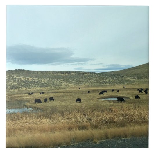 Rural Baker County, Oregon Tegeltje (Voorkant)