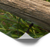 Rural Boerderij Fence Post en Hay Bales Poster (Hoek)