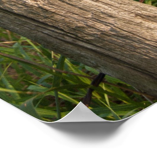 Rural Boerderij Fence Post en Hay Bales Poster (Hoek)