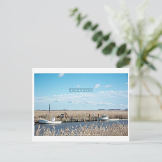 Rural en Wild Delaware. Briefkaart (Staand voorkant)