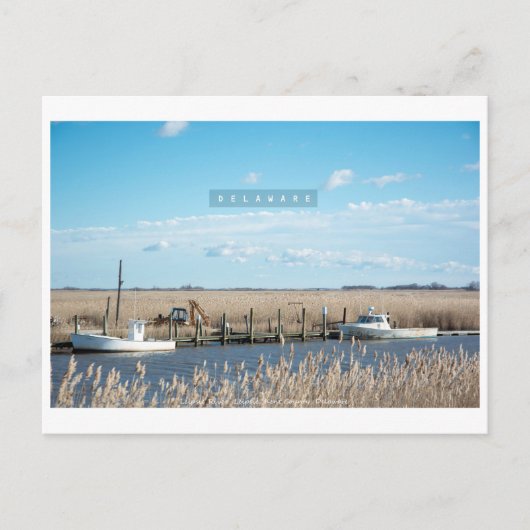 Rural en Wild Delaware. Briefkaart (Voorkant)