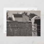 Rural Fence Post Briefkaart (Voorkant / Achterkant)
