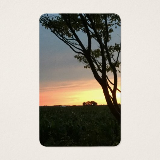 Rural Fields Sunset Visitekaartje (Voorkant)