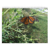 Rural Illinois Kalender (Hoes)