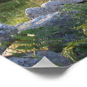 Rural Ireland Poster (Hoek)