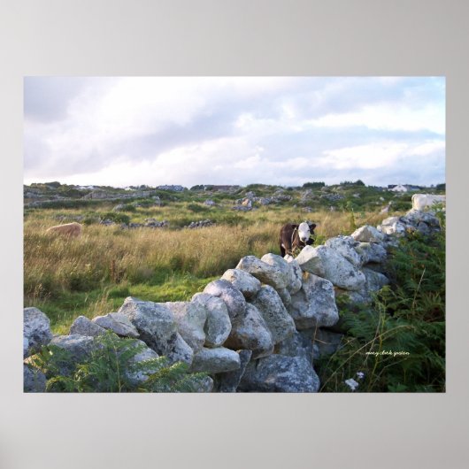 Rural Ireland Poster (Voorkant)