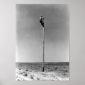 Rural Lineman Poster (Voorkant)