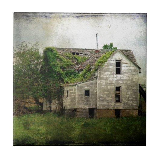 Rural Missouri Abandoned House Tegeltje (Voorkant)