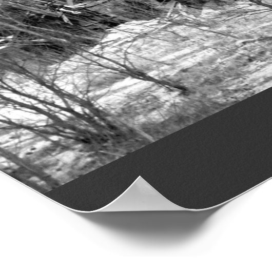 Rural Nebraska Barn B&W Poster (Hoek)