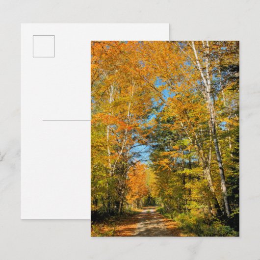 Rural Road Autumn Colors New Hampshire Briefkaart (Voorkant / Achterkant)