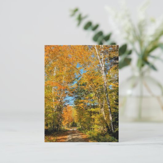 Rural Road Autumn Colors New Hampshire Briefkaart (Staand voorkant)