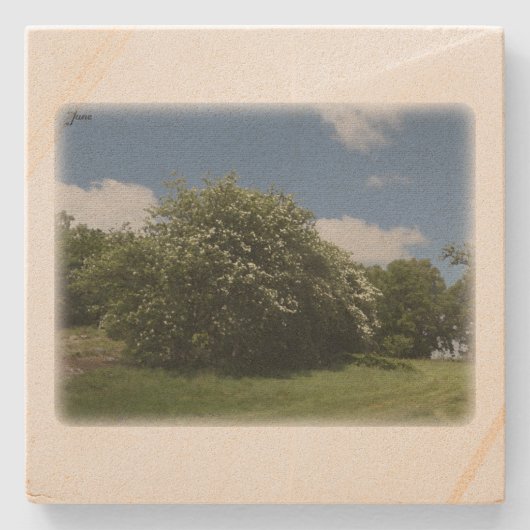 Rural Sweden June Stenen Onderzetter (Voorkant)