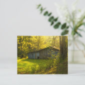 Rural Tennessee Spring Morning Light Briefkaart (Staand voorkant)
