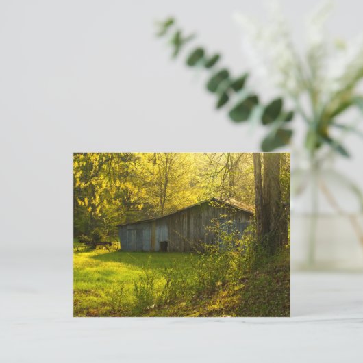 Rural Tennessee Spring Morning Light Briefkaart (Staand voorkant)