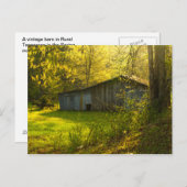 Rural Tennessee Spring Morning Light Briefkaart (Voorkant / Achterkant)