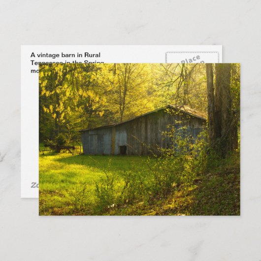 Rural Tennessee Spring Morning Light Briefkaart (Voorkant / Achterkant)