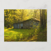 Rural Tennessee Spring Morning Light Briefkaart (Voorkant)