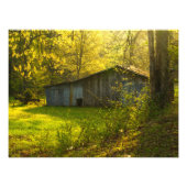 Rural Tennessee Spring Morning Light Foto Afdruk (Voorkant)