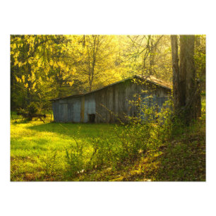 Rural Tennessee Spring Morning Light Foto Afdruk