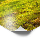 Rural Tennessee Spring Morning Light Foto Afdruk (Hoek)