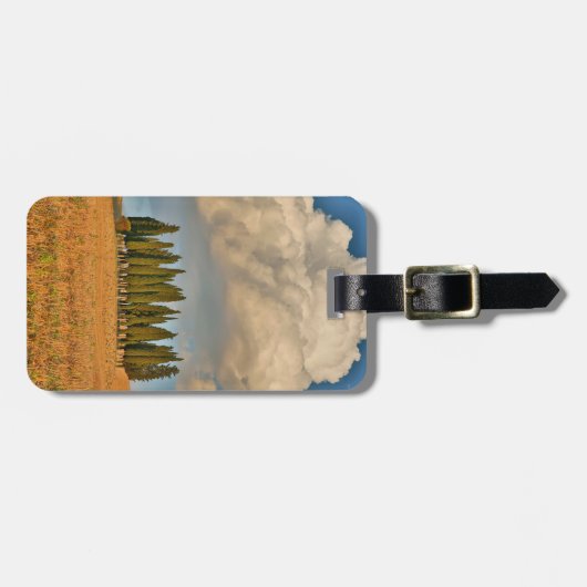 Rural Tuscany Cypress Trees Bagagelabel (Voorkant horizontaal)