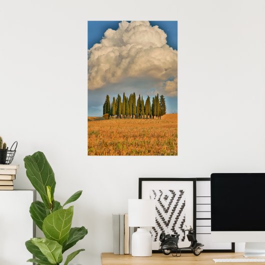 Rural Tuscany Cypress Trees Poster (Thuiskantoor)